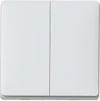 Беcпроводной выключатель Aqara wireless remote switch (2 кнопки) Выключатели и лампы Aqara купить в Барнауле