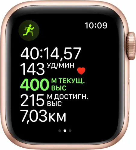 Apple Watch Series 5 40mm Case Gold Aluminium Sport Band Pink Sand Apple купить в Барнауле фото 2