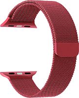 купить Ремешок для Apple Watch Band 38/40mm Lyambda Capella сталь красный в Барнауле
