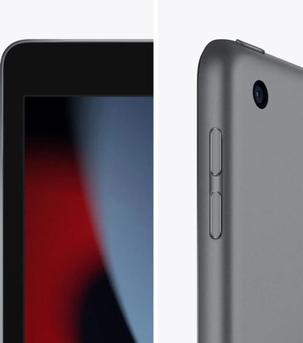 Планшет Apple iPad (2021) A2602 10.2" Wi-Fi A13 Bionic 6С/256Gb Grey Планшеты Apple купить в Барнауле фото 4