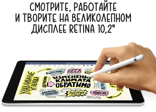 Планшет Apple iPad (2021) A2602 10.2" Wi-Fi A13 Bionic 6С/256Gb Grey Планшеты Apple купить в Барнауле фото 6