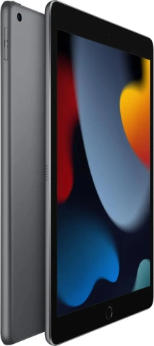 Планшет Apple iPad (2021) A2602 10.2" Wi-Fi A13 Bionic 6С/256Gb Grey Планшеты Apple купить в Барнауле фото 3