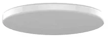 Умный потолочный светильник Yeelight LED Ceiling Lamp 650mm White/Galaxy Светильники купить в Барнауле