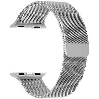 купить Ремешок для Apple Watch Band 38/40mm Lyambda Capella сталь серебристый в Барнауле